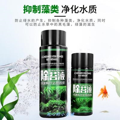 鱼缸长青苔去水池绿藻青苔除燥剂鱼缸防止水变绿除藻去苔剂f 私语家居馆 淘优券