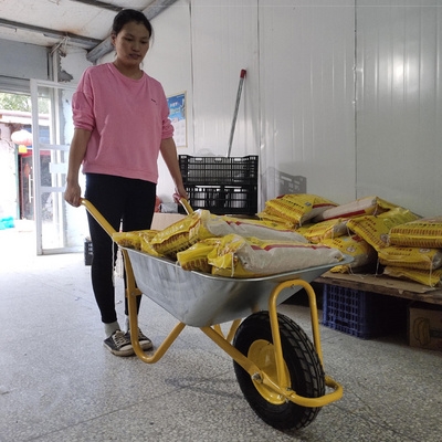 农贸市场耐用推菜推粪车环卫垃圾手推车酒店养殖推料车垃圾小区-图2