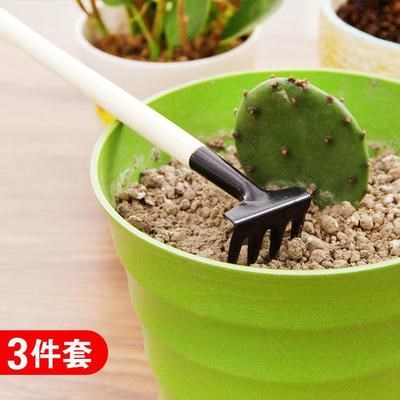 多肉植物松土套装三件套种花盘景盘栽挖土小铲子养花种植园艺工具 - 图1