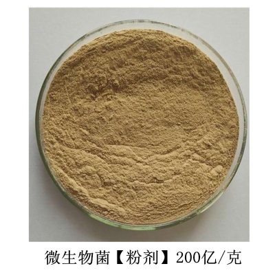 地衣/枯草芽孢杆菌25公斤 微生物菌肥种植农用水产有益菌粉剂