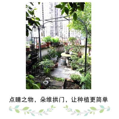 葡萄架爬藤室外花架拱门月季户外庭院不锈钢安阳台花园别墅支 虎窝淘