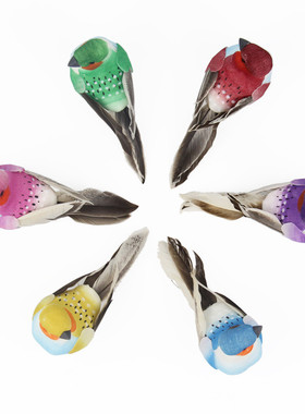 仿真羽毛彩色泡沫假小鸟家居捆绑式摆件园林装饰手工拍摄道具模型