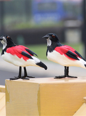 仿真摆件标本拍摄道具装饰品