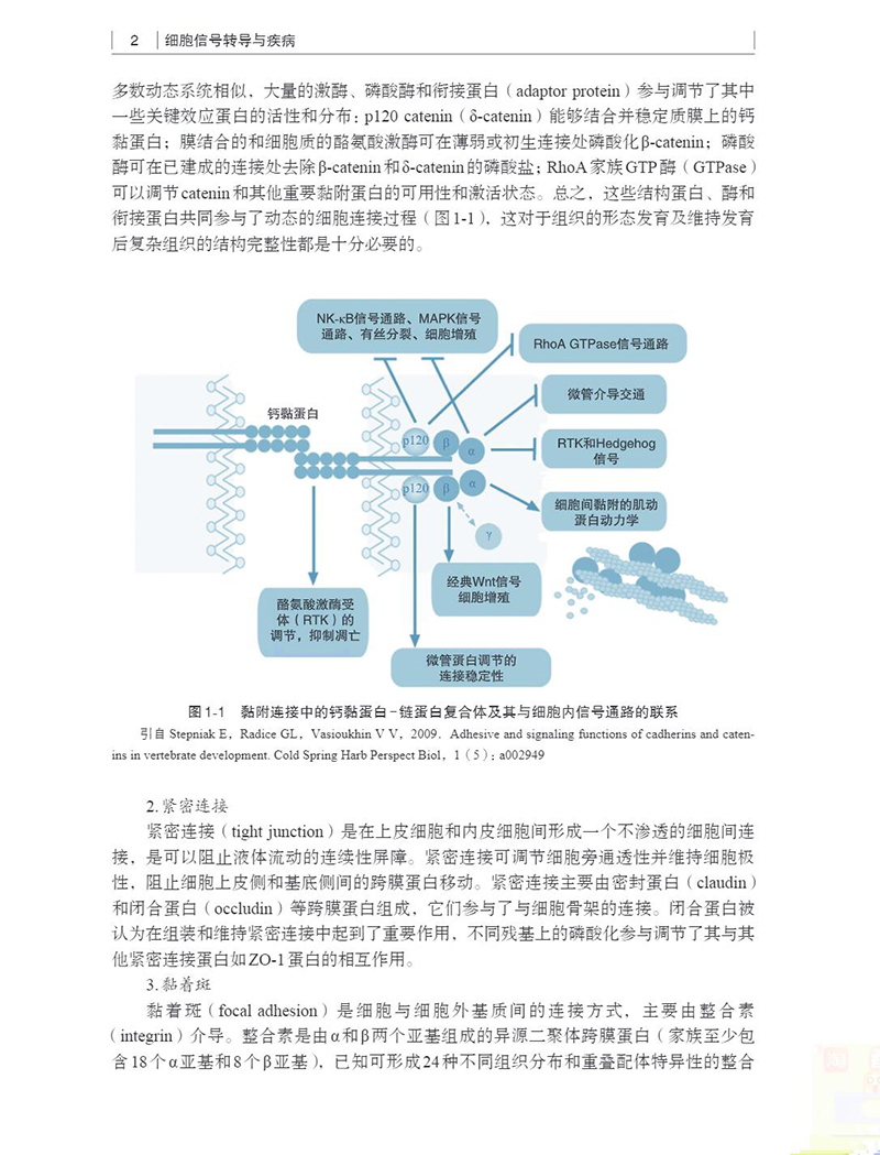 2023新书】细胞信号转导与疾病杨俊伟何伟春编细胞处理各类信号的生化机制以及信号转导在多种病理生理过程中的调控作用-图0