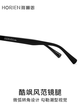 海俪恩GM墨镜复古新款潮女高级感ins太阳眼镜大框显瘦显脸小N8107