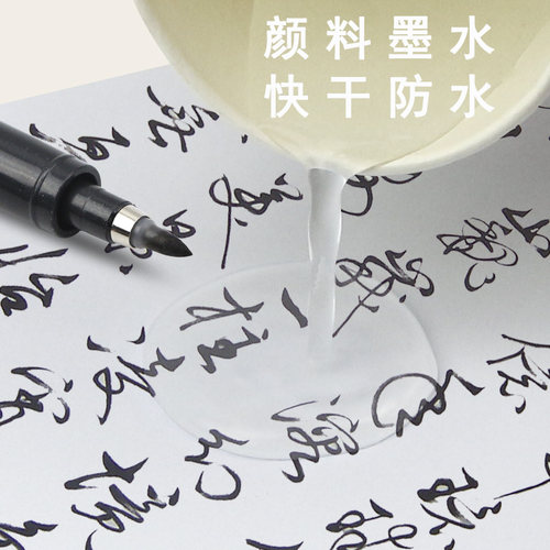 日本斑马牌秀丽笔软头书法笔钢笔式毛笔专用练字楷书瘦金体自来水毛笔头软笔小楷勾线便携新田楷自带墨水 - 图2
