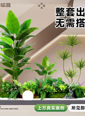 仿真绿植景观造景家居装饰盆景仿真植物大绿植盆景组合花箱造景