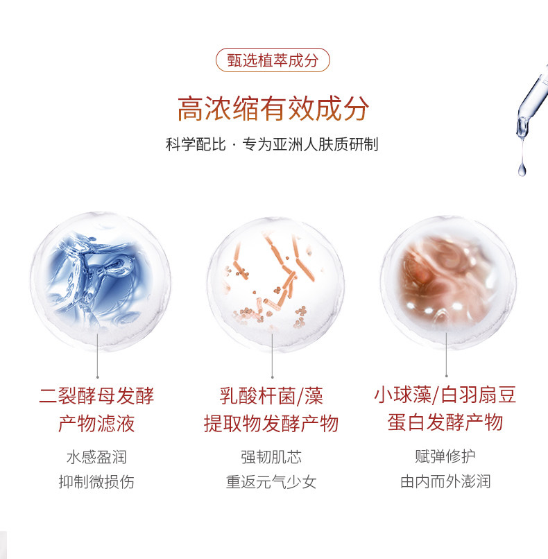 伊贝诗海藻焕活发酵精华水女柔肤水 颜妆化妆品化妆水/爽肤水