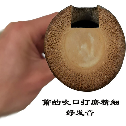 管子先生紫竹一节洞箫普及箫新手入门演奏萧初学潇八孔洞箫GF调 - 图1