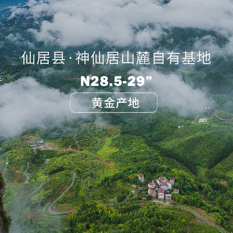 苏虞旗舰店仙居杨梅东魁杨梅新鲜当季水果孕妇应季特级大杨梅高山现摘75颗装2