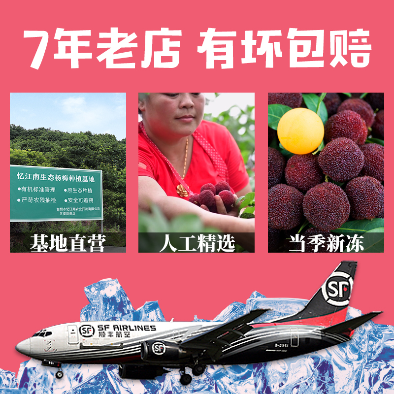 苏虞旗舰店仙居杨梅新鲜冷冻冰冻速冻冰镇杨梅泡酒孕妇东魁杨梅3斤 顺丰包邮3