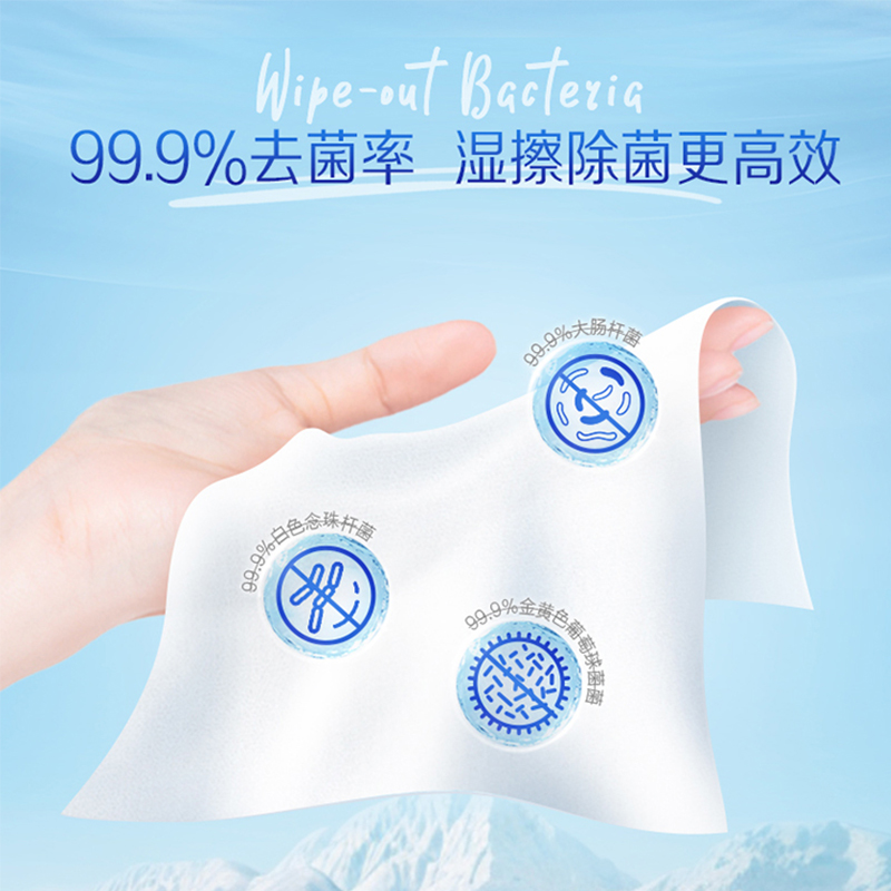 tempo得宝纯水湿厕纸私处清洁卫生可冲湿厕巾80片多规格任选实惠