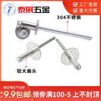 304-half stainless steel aluminium large flat head pumping core rivet pulling rivet upholstery nails 3 2-5