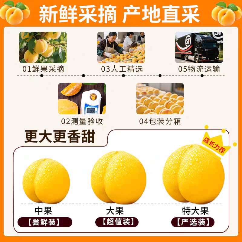 【顺丰上门】黄桃新鲜桃子水果5斤黄金蜜桃当季整箱蒙阴黄肉蜜桃