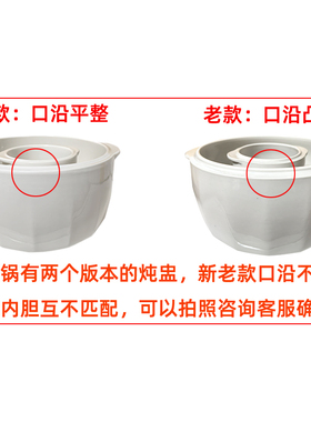 苏泊尔电炖锅DZ25FC859陶瓷配件