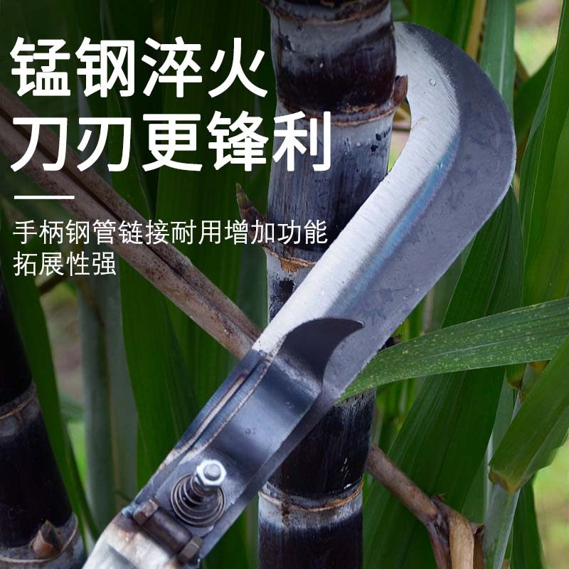 多用途砍甘蔗剥叶刀修蔗专用长柄刀越南砍蔗镰刀手动推削叶子农具,淘宝优惠券,粉丝福利购,淘宝优惠卷