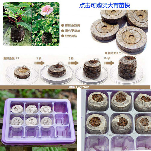 育苗块高发芽播种扦插有营养基质土通用培养型播种育苗块苗箱 - 图0