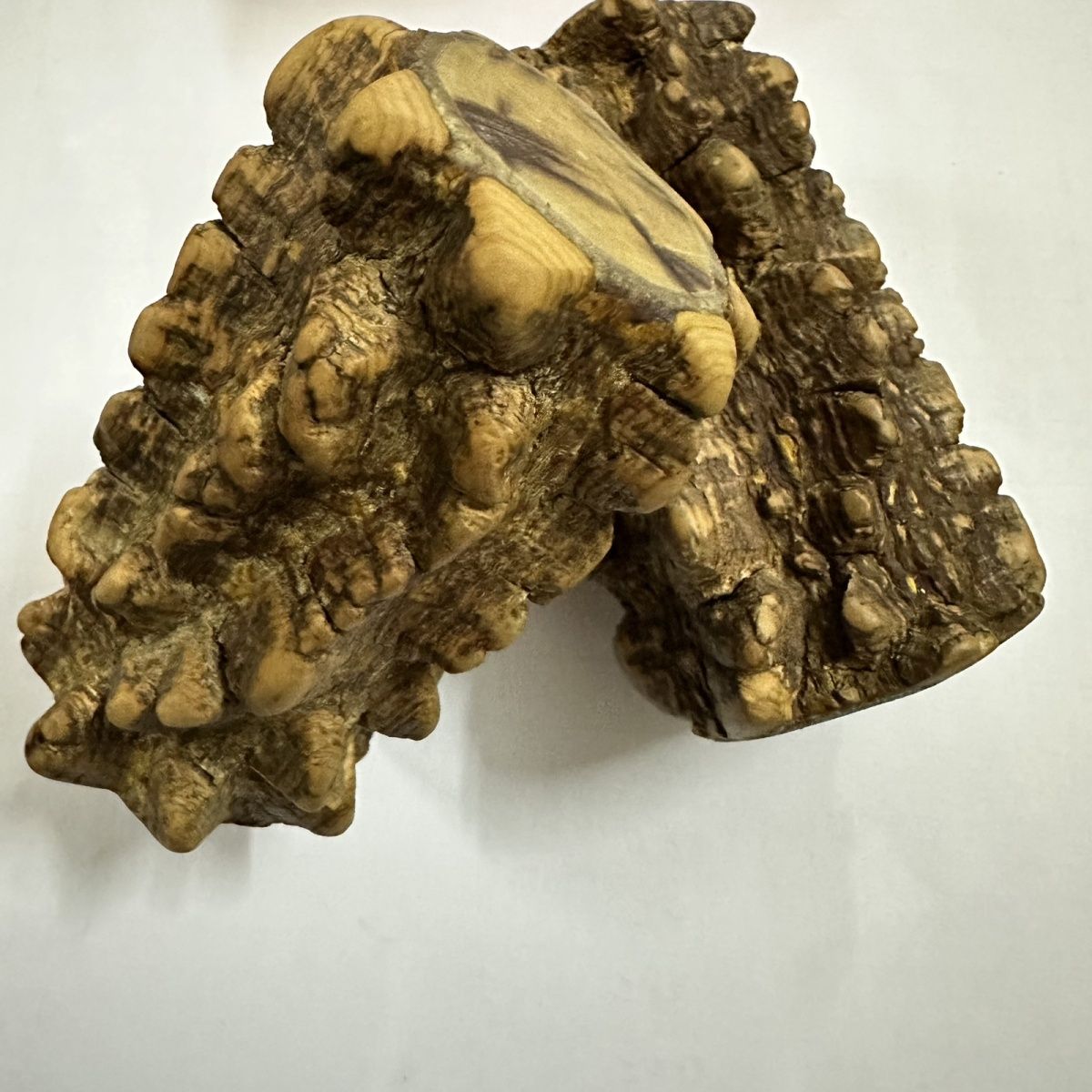 花椒木手棍按摩椒原木棍中年老人按摩敲背把件按摩花椒棒杠练功棍 - 图2