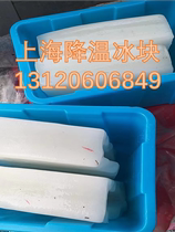 Shanghai industrial cooling ice cubes for free distribution to foreign wholesale