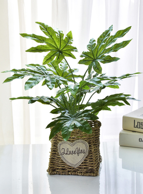 仿真植物龟背绿植桌面装饰花艺