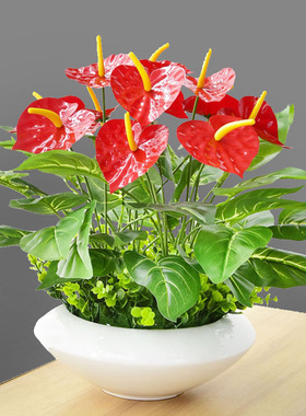 仿真花客厅室内盆栽龟背红掌摆件