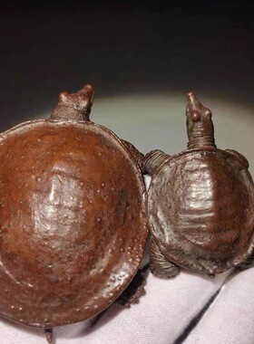 仿古富甲一方实心仿紫铜王八老鳖甲鱼茶宠招米福禄桌面装饰摆件