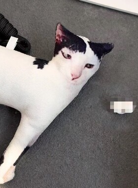 创意蔑视奶牛猫毛绒挂件