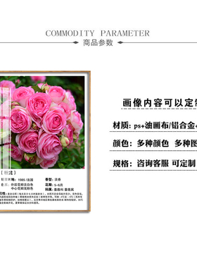 玫瑰花挂画种类产地介绍装饰画展厅鲜花店花卉品种科普宣传背景墙