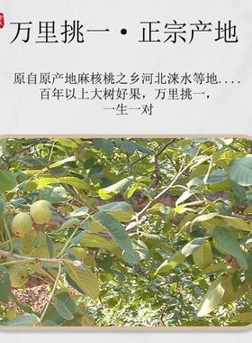 2026高颜值文玩核桃天然老树白狮子头配对高抛打底男女盘玩手把件