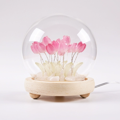 День учителя Лунный ночной фонарь