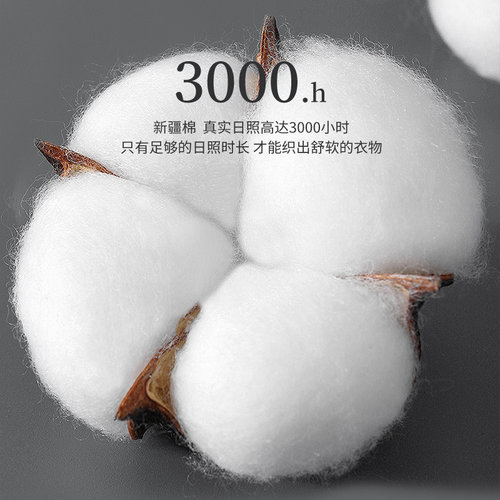 七匹狼袜子男士纯棉夏季男袜全棉防臭吸汗透气中筒袜黑色商务男款 - 图2