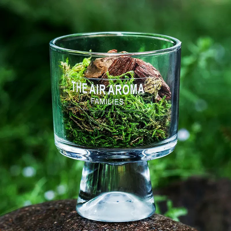松木青苔扩香杯森系无火精油挥发液净化空气持久留香摆件香薰 - 图2
