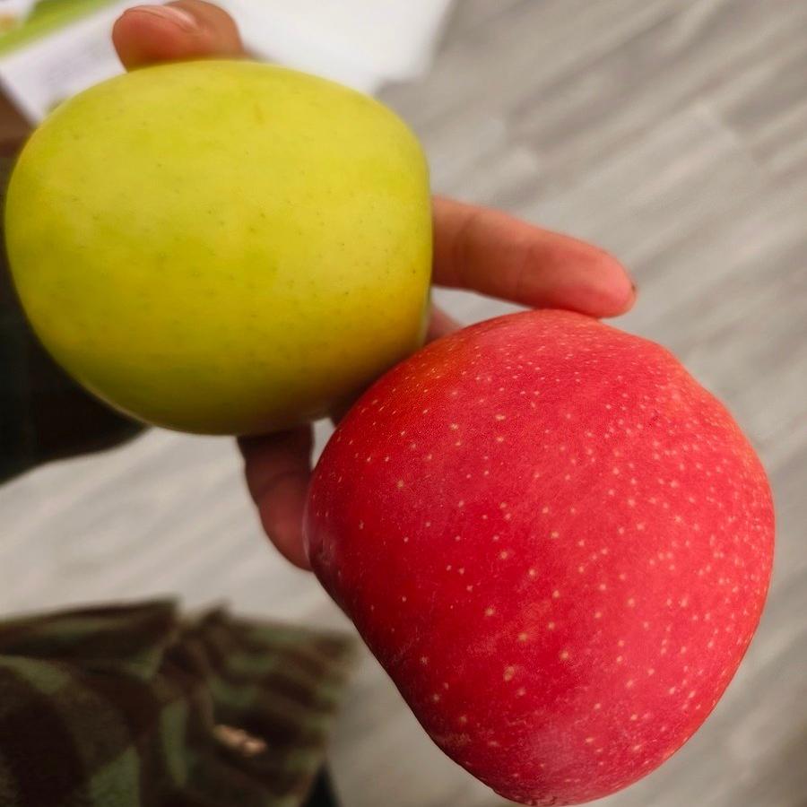 Ruixue Shaanxi Crisp Sweet Ruiyang Ruixiang Red Green Apple