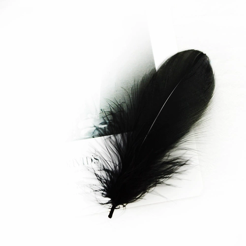 Черный аксессуар для волос ручной работы, набивка пером, DIY