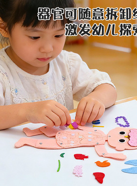 幼儿园科学区游戏材料儿童认识人体器官大揭秘拼装模型早教玩具