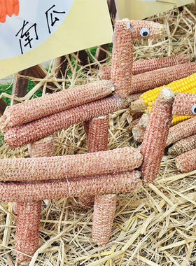 幼儿园自然角美工儿童手工diy玉米芯作品环创玉米棒材料制作道具