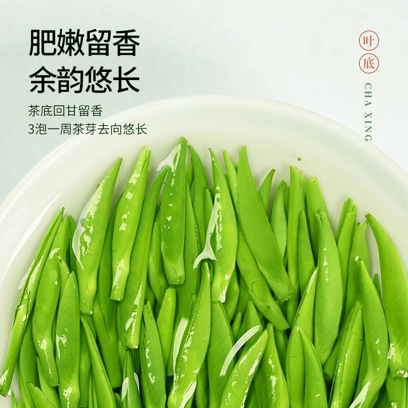 全嫩芽2024新茶春茶明前特级雀舌茶叶贵州湄潭翠芽高山绿茶250g-图2