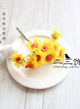 复古文艺风森系松果花卉马蹄莲