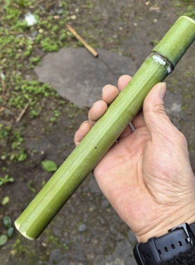 小竹筒幼儿园小学生跳舞活动道具