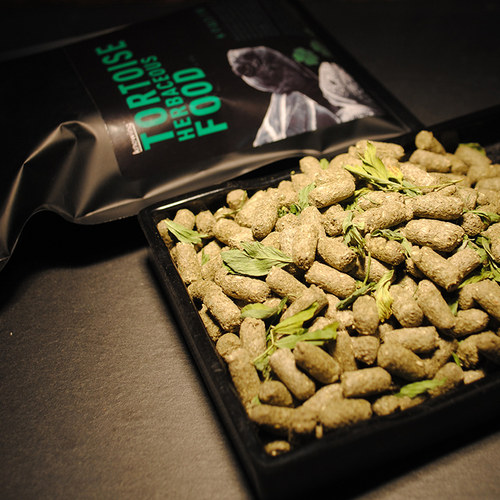 Knowing诺茵陆龟粮素食龟饲料水果粮马祖瑞替代粮 - 图0