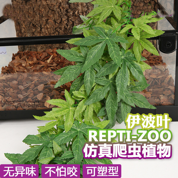 高仿真爬箱造景素材仿真绿植藤蔓叶假植雨林饲养箱造景装饰带吸盘 - 图2