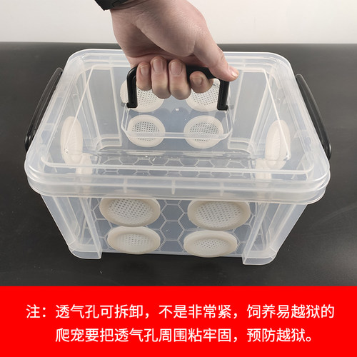 打孔爬虫饲养盒透明塑料饲养箱睫角守宫蛐蛐蟑螂蛇乌龟冬眠保温盒 - 图0