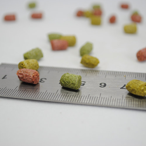 Knowing诺茵陆龟粮素食龟饲料水果粮马祖瑞替代粮 - 图2