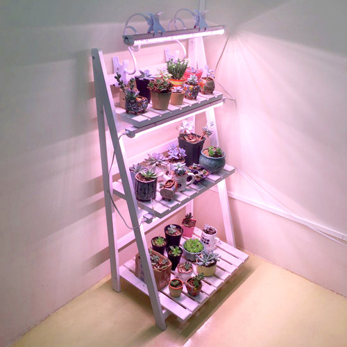 植力 LED全光谱多肉补光灯防徒长上色植物生长光合作用家用仿太阳 - 图0