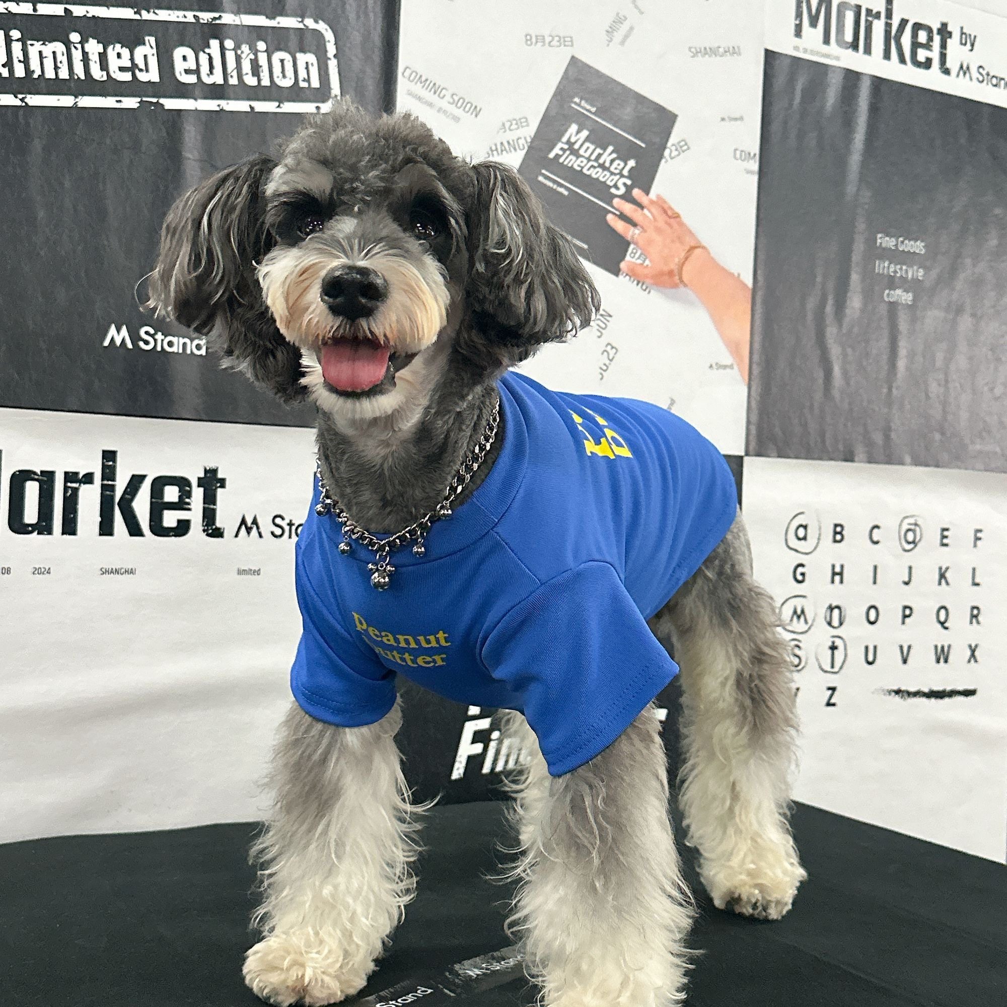 春秋冬新款狗狗衣服潮牌透气雪纳瑞泰迪比熊博美茶杯犬衣服可爱,淘宝优惠券,粉丝福利购,淘宝优惠卷