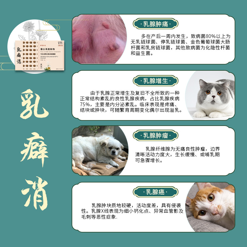 乳癖消宠物狗猫咪乳腺炎硬肿块瘤增生结节假孕涨奶回奶公英散必