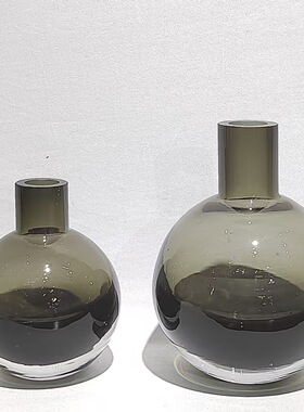 现代简约收口大肚玻璃花瓶摆件样板房餐厅桌面水培鲜花设计摆件