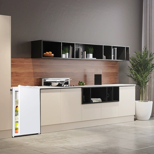 Rongsheng 101L Одиночный маленький домохозяйственный сэкономивший энергия -энергия, ведущая энергия, охлаждающая холодильник с низким уровнем шума, первым одноуровневым холодильником, прокат -лишним прокатом