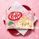 Japan kitkat nestle kitka sandwich wafer