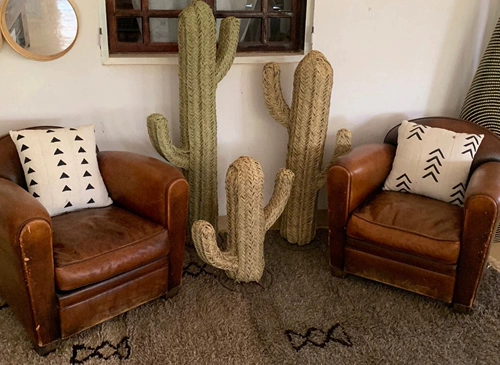 Соломенная плетеная импортная мебель, DIY, кактус